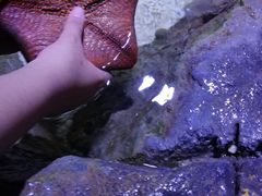 -多彩贵州城极地海洋世界