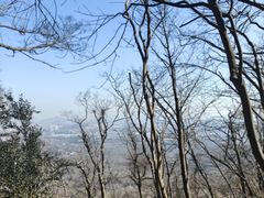 -紫金山山顶公园