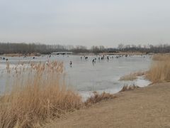 -马家湾湿地公园