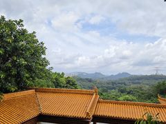 -深圳仙湖植物园