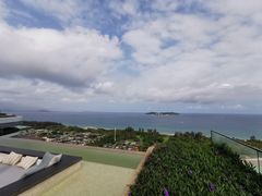 -瑰丽酒店·海吧·天际下午茶·现场DJ·天台酒吧
