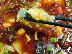 -韩妹鱼庄·泸定老字号(泸定店)