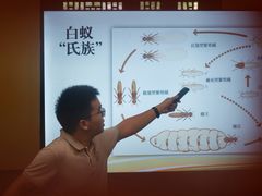 -宁波市保国寺古建筑博物馆