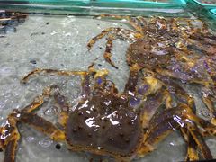 -渔傅·蓝海岸霞浦海鲜(正祥店)