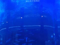 -OPEN開全日自助餐厅·西餐·海鲜(佛山希尔顿酒店)