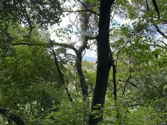 -金鸡山公园