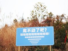 -四明山国家森林公园