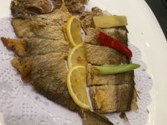 -骏莱海鲜鱼港(五角场店)