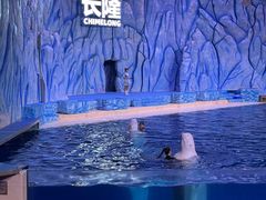 -珠海长隆海洋王国