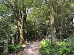 -狼山风景名胜区