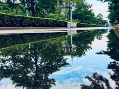 -钓鱼台银杏大道