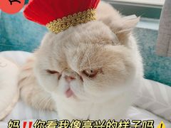 -福州肆爪动物医院