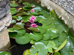 -都江堰普照寺