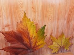 -永和大王(小厨·东四十条店)