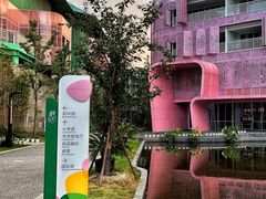 -杭州观成实验学校