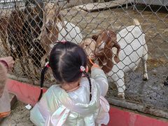 -荆州中山公园动物园