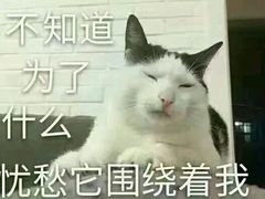 -比尔奇(工业园区店)