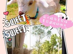 -前小桔亲子创意农场·草莓采摘·露营烧烤