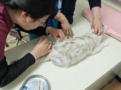 -宠颐生中康贝怡动物医院