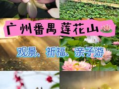 -广州莲花山旅游区