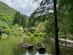 -深圳仙湖植物园