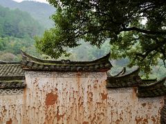 -杨家堂村