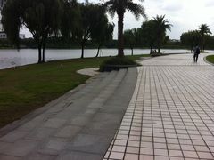 -东华大学(松江校区)