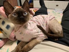 -佑安动物医院·全科·内窥镜中心(幸福巷店)