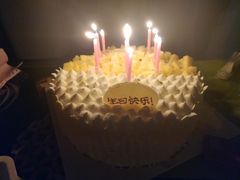 -维尔纳斯·生日蛋糕·动物奶油冰淇淋蛋糕(六里桥店)