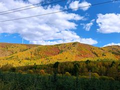 -塞罕坝国家级自然保护区