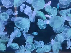 -多彩贵州城极地海洋世界