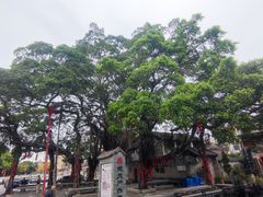 -烟桥古村
