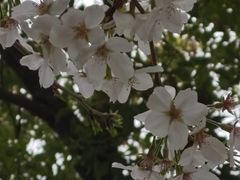 -玉山公园