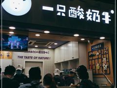门面-一只酸奶牛(八一路店)