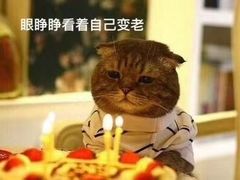 -罗莎蛋糕(奥山府店)