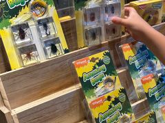-朵云书院·广富林店