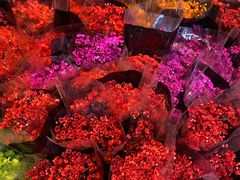 -循礼门鲜花花市(武汉循礼门店)