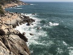 -广东惠东海龟国家级自然保护区