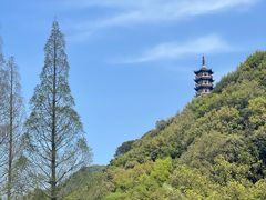 -黄贤森林公园