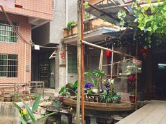 -小洲村
