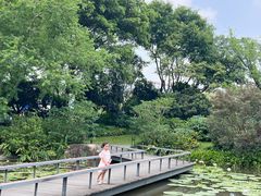 -云溪植物园