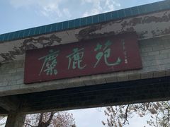 -北京麋鹿生态实验中心
