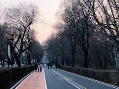 -长春市南湖公园