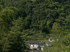 -石台牯牛降景区