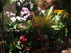 -春暖花开(西溪店)