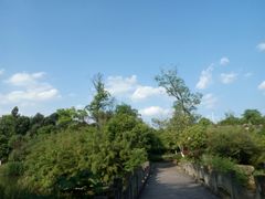 -四川师范大学（成龙校区）-图书馆