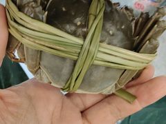 -品鲜村农家菜·阳澄湖大闸蟹(总店)