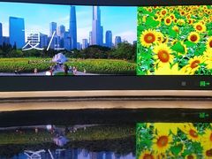 -云溪植物园