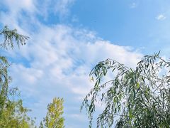 -大理洱海