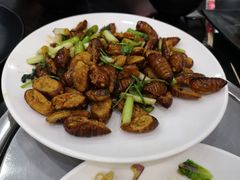 干煸茧蛹-瑞杰烧烤店·24小时营业(山东路店)